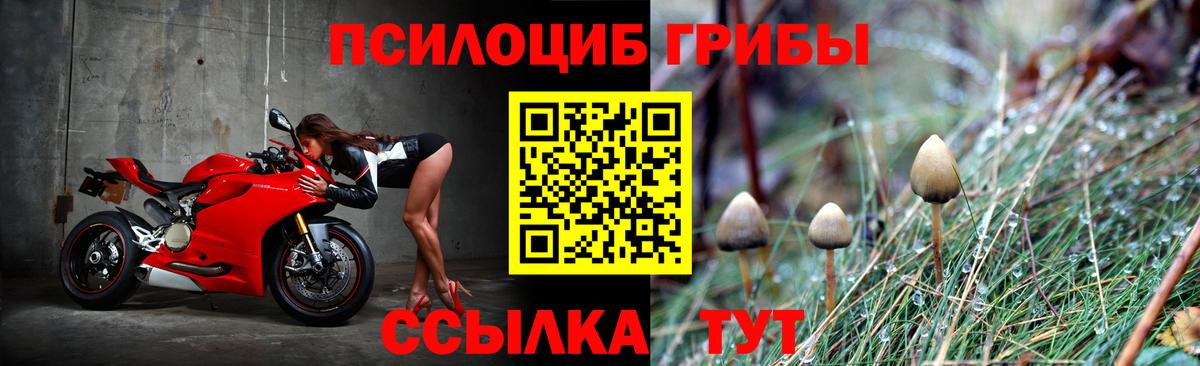 Псилоцибиновые грибы Cubensis Шарыпово