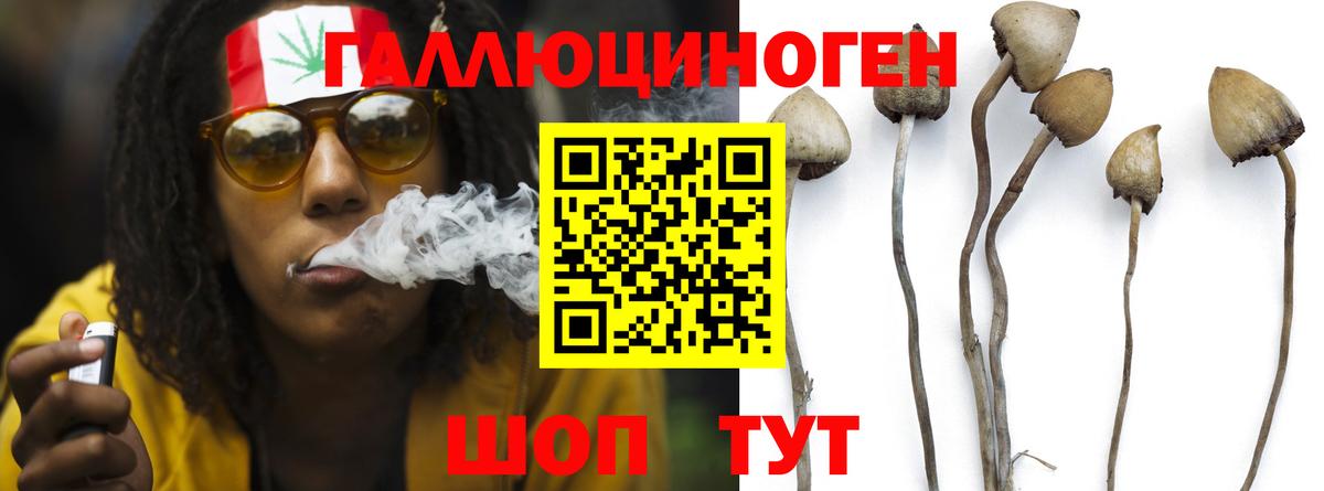 Галлюциногенные грибы Psilocybe  Вход с VPN  Шарыпово 